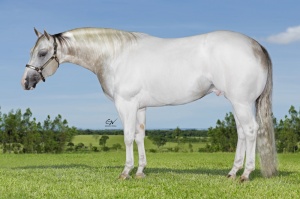 Foto do Lote C - 200