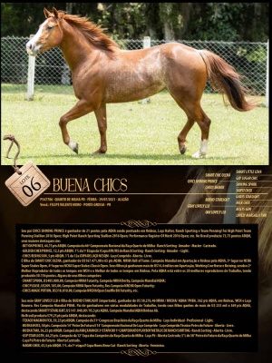 Foto do Lote 006