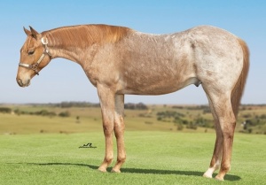 Foto do Lote 020