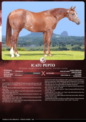 Foto do Lote 016