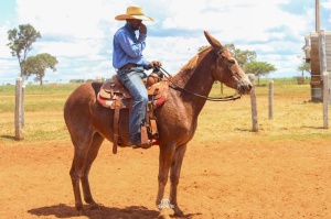 Foto do Lote 019